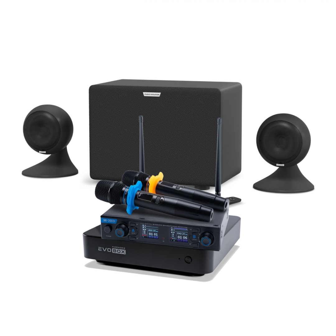 караоке-комплект EVOBOX + EvoSound Sphere 2.1 в Новокуйбышевске