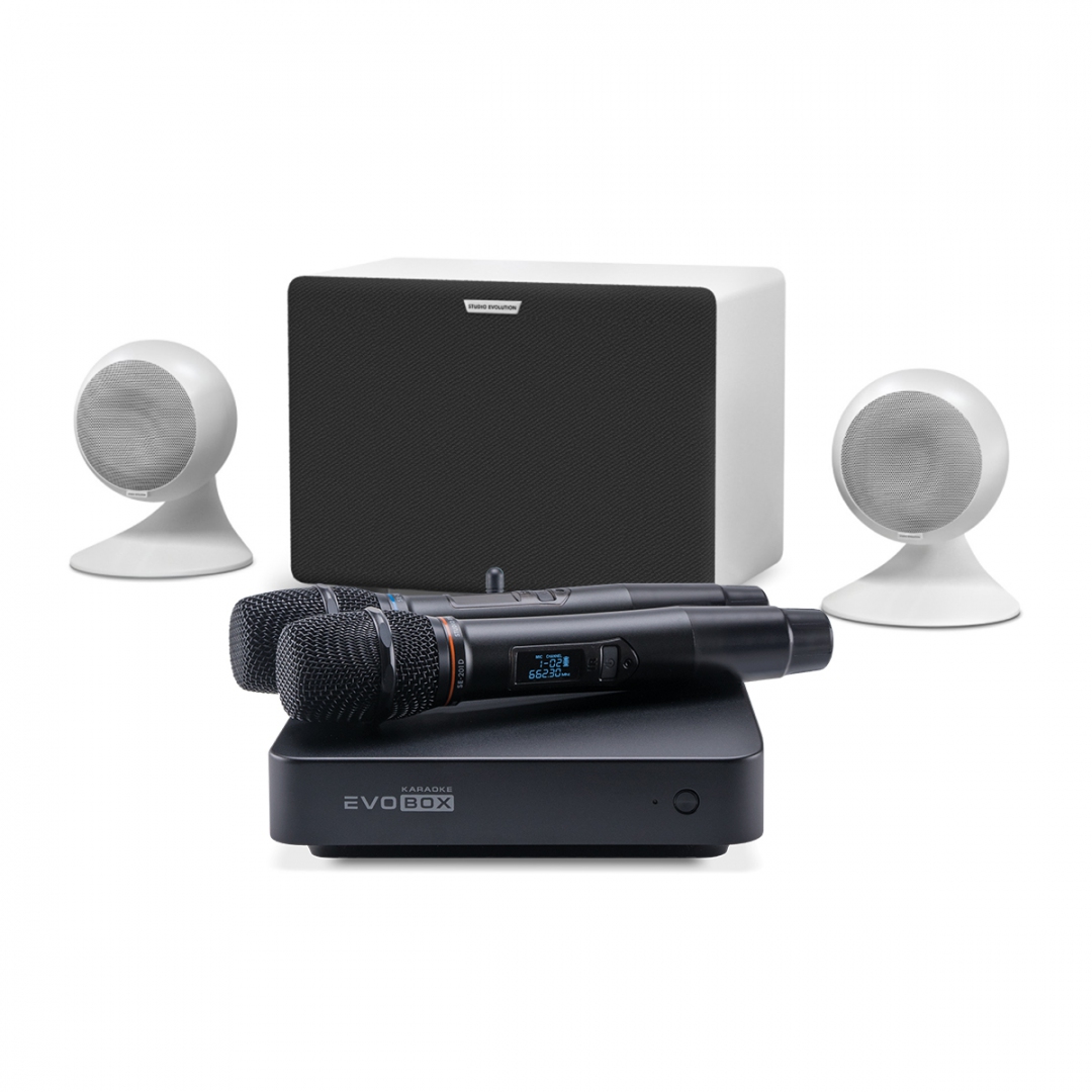 караоке-комплект EVOBOX Classic + EvoSound Sphere 2.1 в Новокуйбышевске