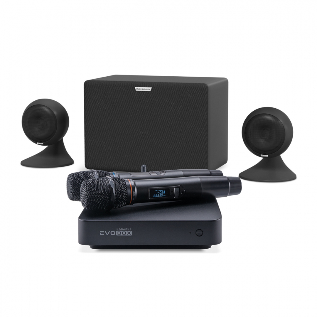 караоке-комплект EVOBOX Plus + EvoSound Sphere 2.1 в Новокуйбышевске