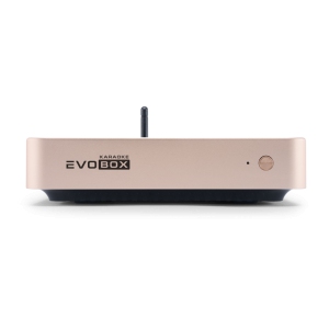 EVOBOX Classic караоке-система для дома в Новокуйбышевске