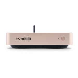 EVOBOX Plus караоке-система для дома в Новокуйбышевске