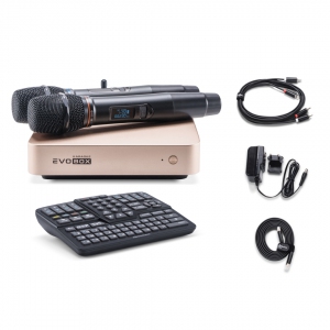 EVOBOX Plus караоке-система для дома в Новокуйбышевске